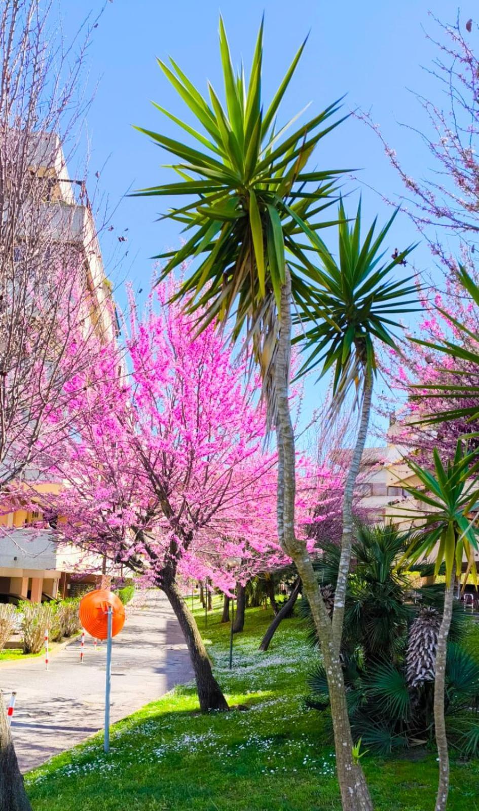 Rome Sweet Home Vitinia Exterior foto